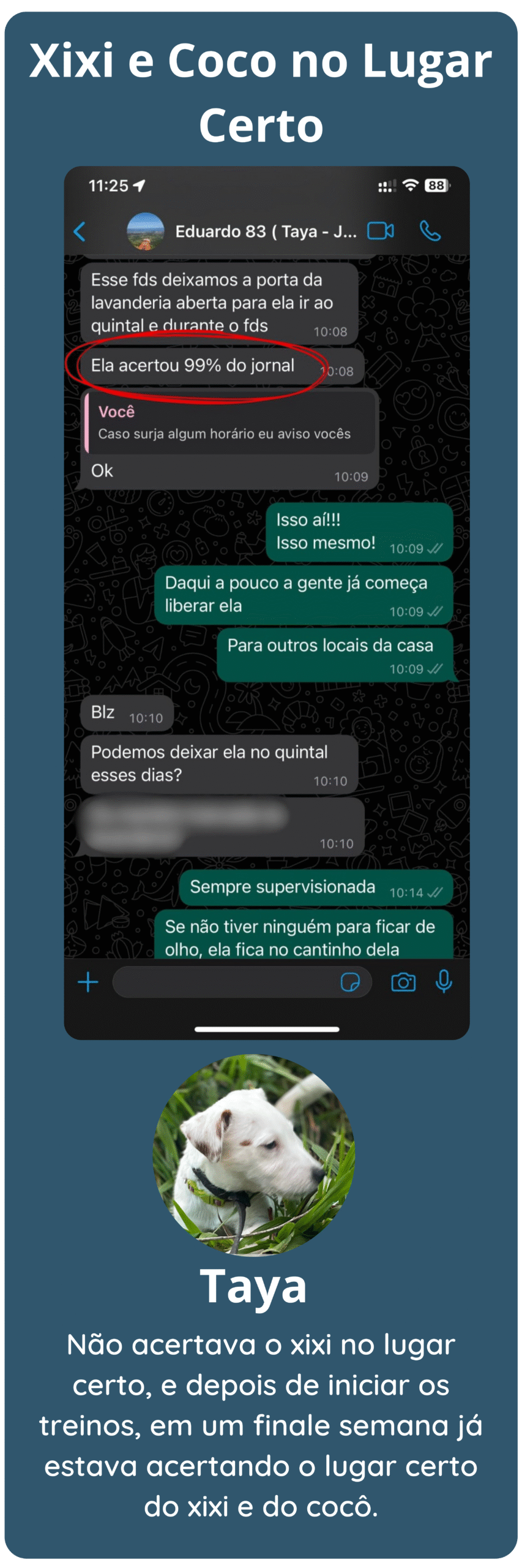 um print do WhatsApp de um depoimento de um cliente falando que a cachorra acertou 99% do xixi no jornal