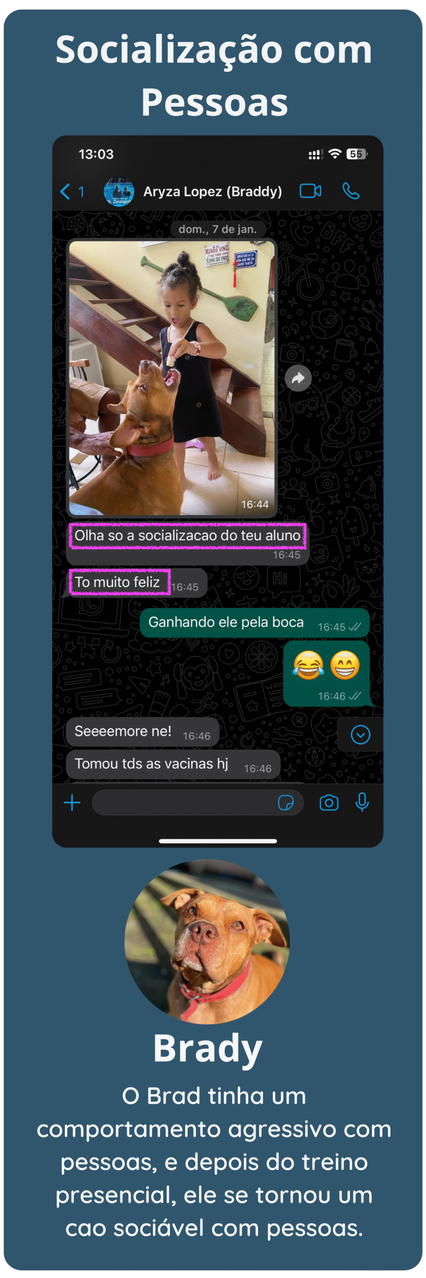 um print do WhatsApp de um depoimento de um cliente falando que o cachorro agora convive com pessoas