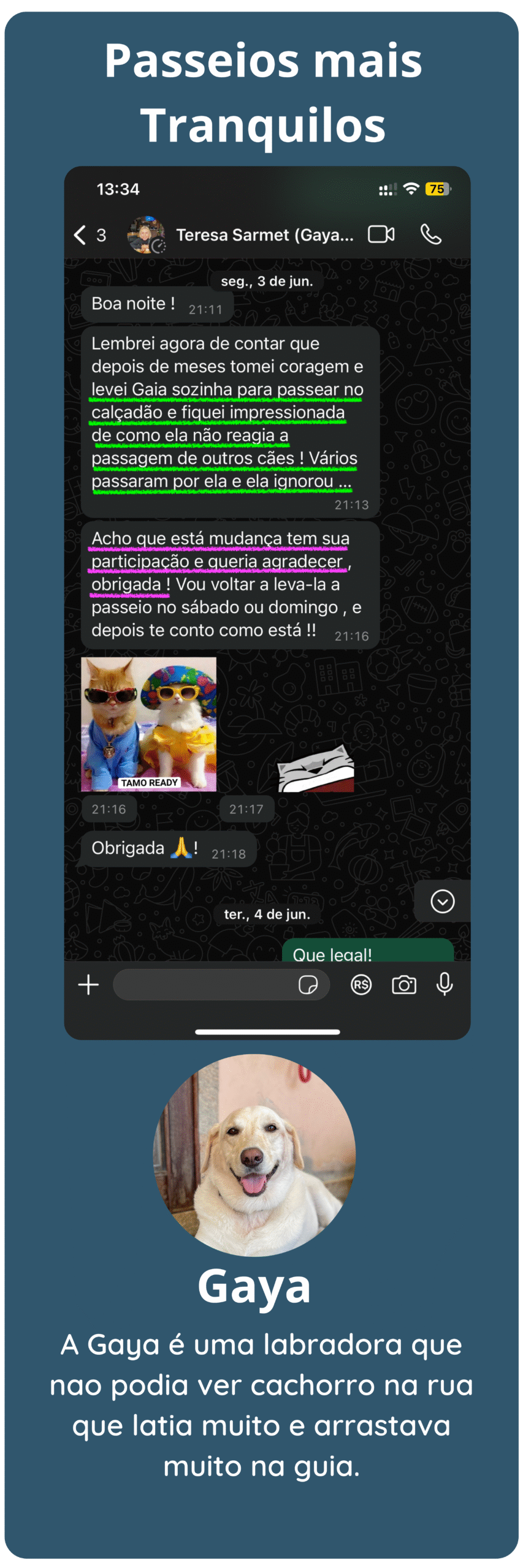 um print do WhatsApp de um depoimento de um cliente falando que a cachorra que antes nao andava sem puxar na guia durante o passeio, agora passeia tranquila
